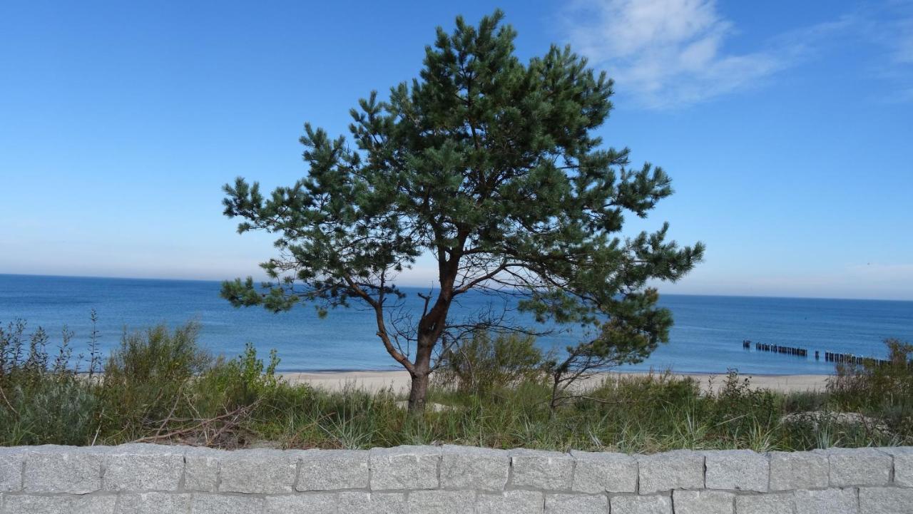 Pokoje Goscinne Muszelka 300 M Do Plazy Mielno  Bagian luar foto